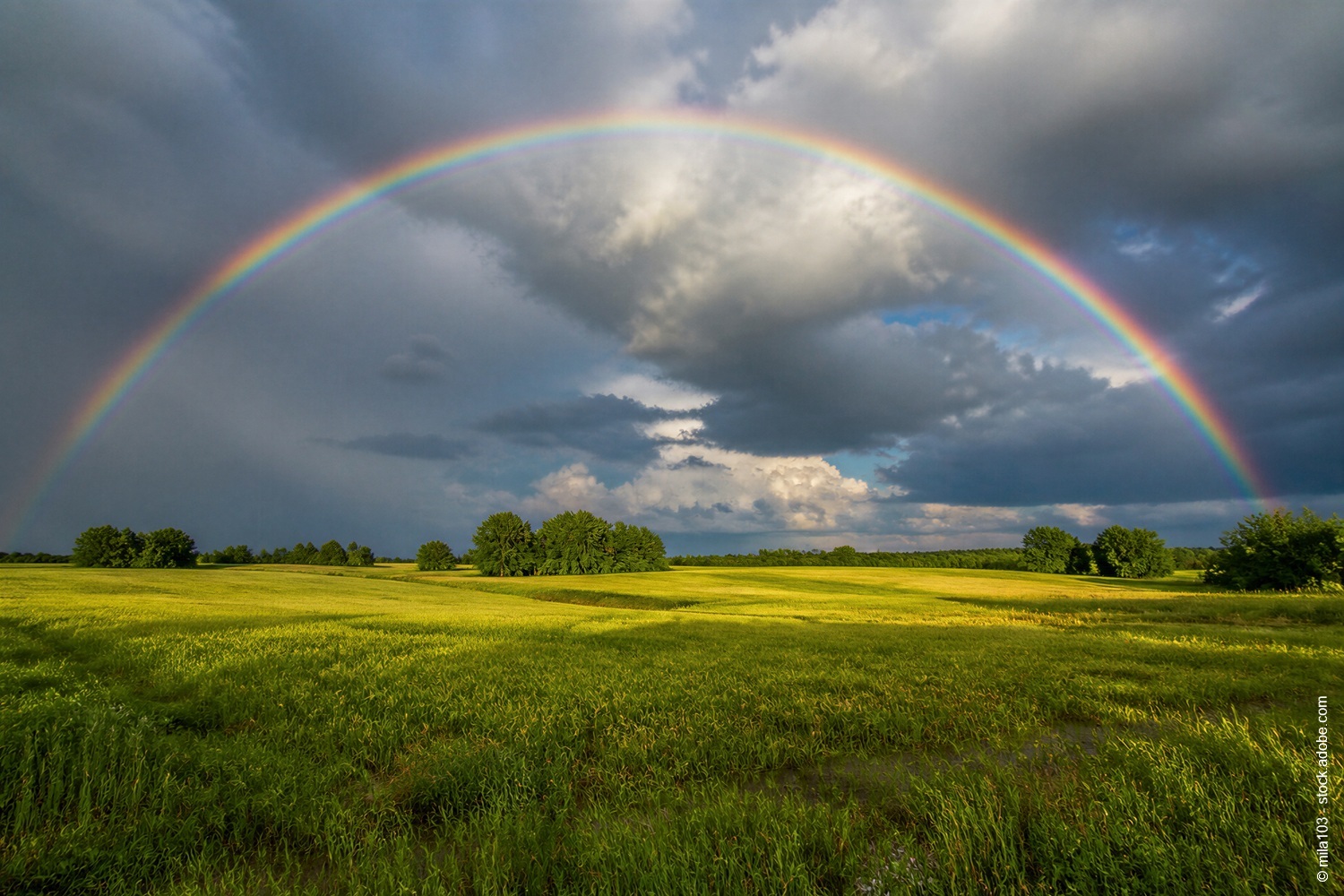 Regenbogen